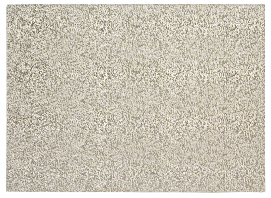 PLACEMAT SKATE RECTANGULAR