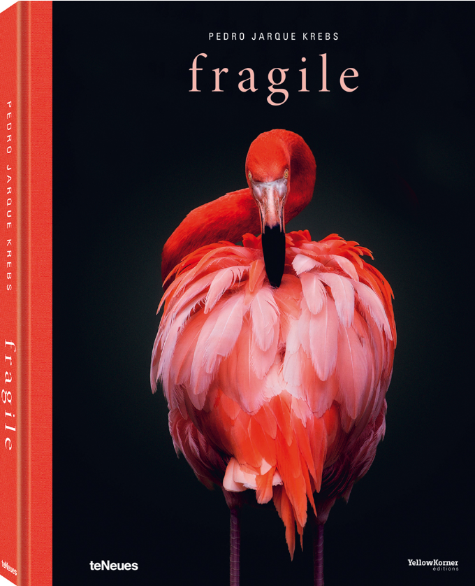 BOOK "FRAGILE" BY PEDRO JARQUE KREBS
