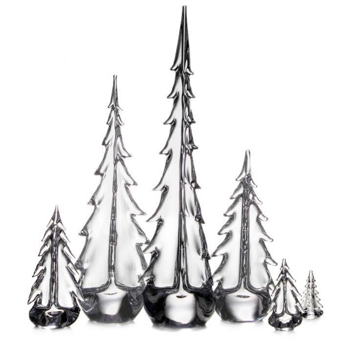 EVERGREEN SILVER LEAF