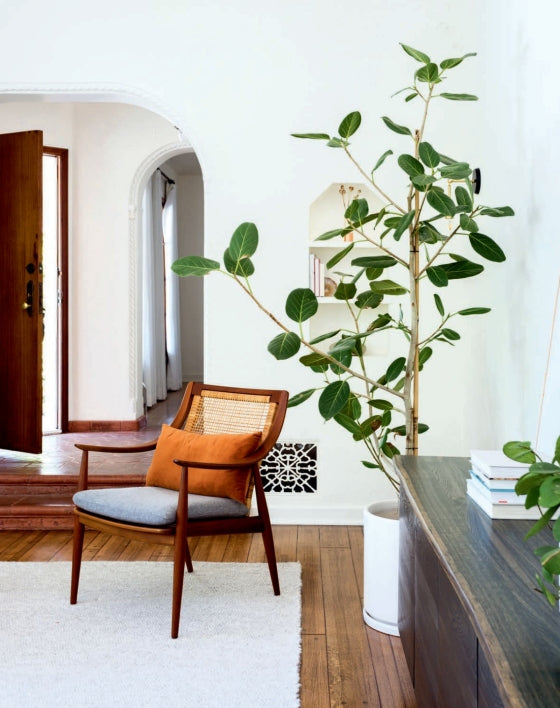 BOOK "HOME WITH RUE" #61070